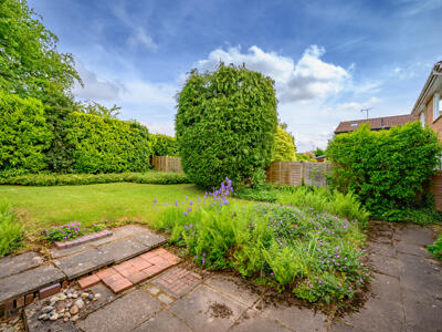 Picture 21